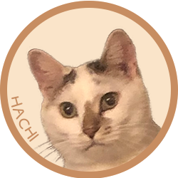 猫/ハチ