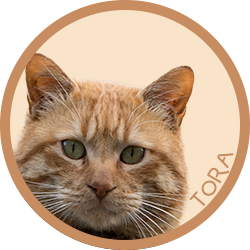 猫/トラ