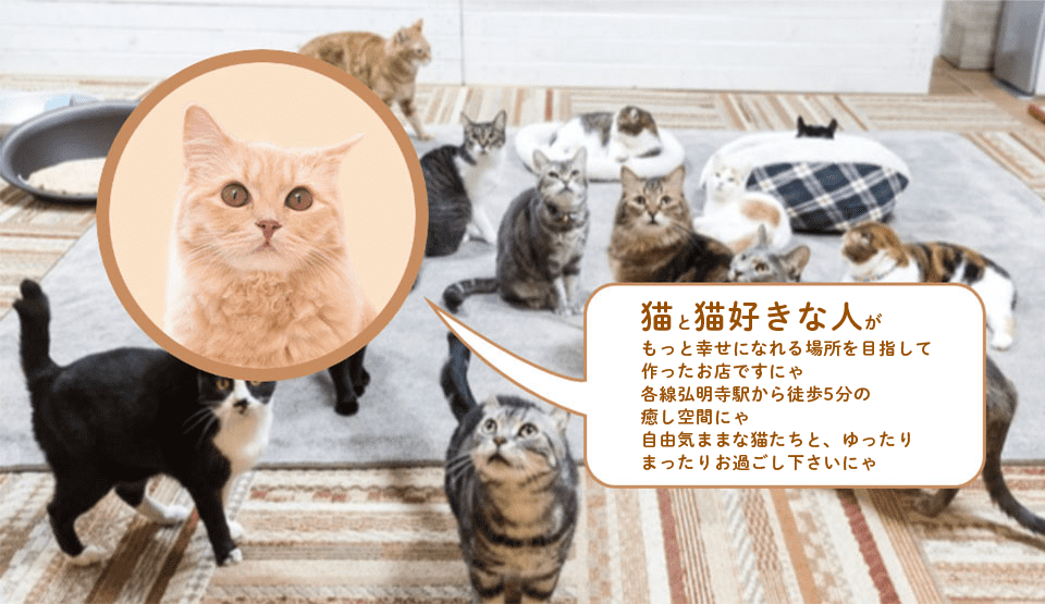 大きな画像